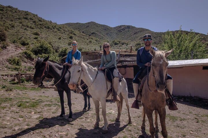 Mendoza Andes Horseback Ride to 2,500m with Asado & Wine