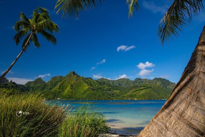 Moorea Private Photo Tour: Island Photography Workshop & Guided Discovery photo 2