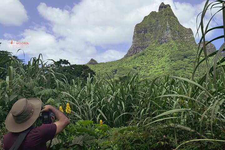 Moorea Private Photo Tour: Island Photography Workshop & Guided Discovery photo 6