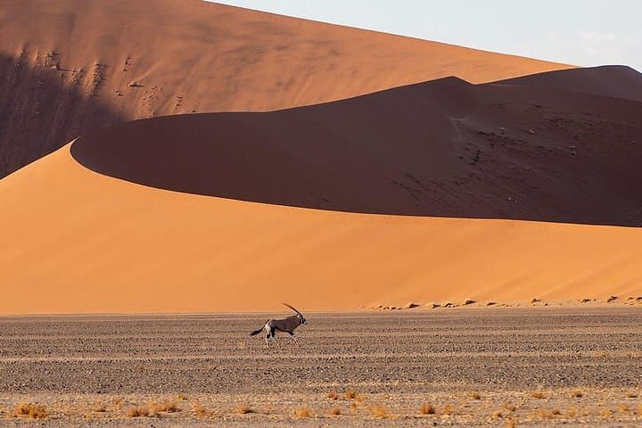 15-Day Southern Africa Safari: Namibia, Botswana & Victoria Falls Adventure photo 1
