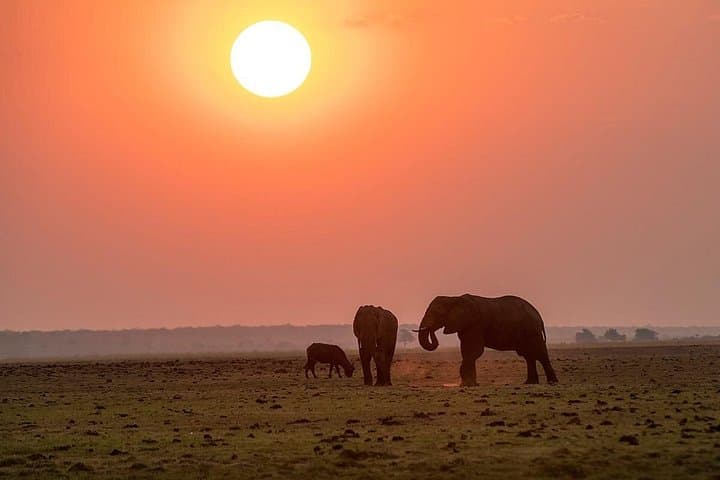 15-Day Southern Africa Safari: Namibia, Botswana & Victoria Falls Adventure photo 2