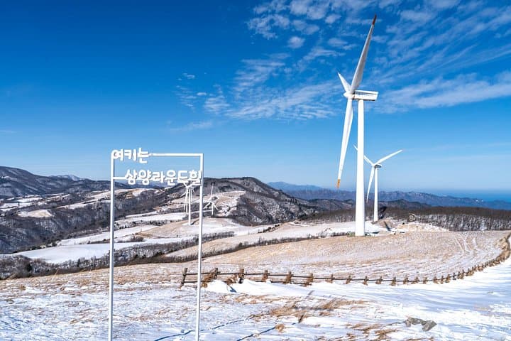 Pyeongchang Winter Blossom Photo Tour: Alpacas, Snow Ranches & Cable Car Views photo 4