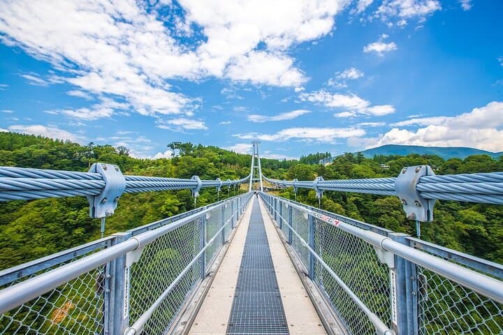 Hells of Beppu and Kokonoe Yume Bridge: Private 6-Hour Shore Excursion photo 5