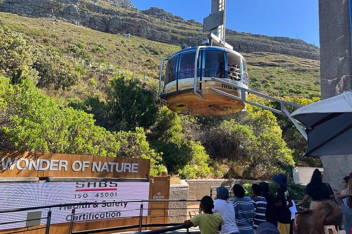 Cape Town Highlights: Robben Island & Table Mountain Day Tour photo 6