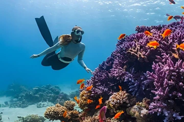 Gili Islands Snorkeling Tour: Turtles, Coral Gardens & Underwater Statues photo 1