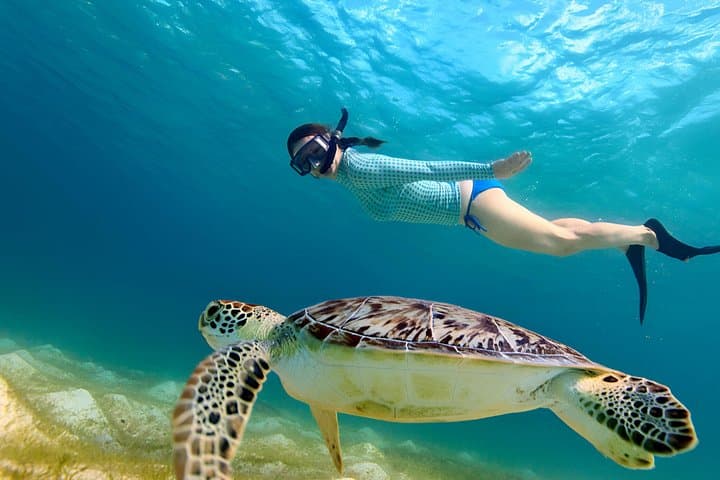 Gili Islands Snorkeling Tour: Turtles, Coral Gardens & Underwater Statues photo 2