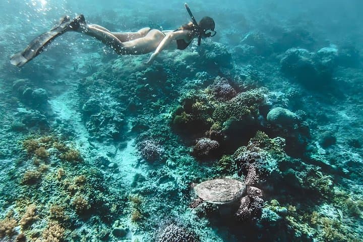 Gili Islands Snorkeling Tour: Turtles, Coral Gardens & Underwater Statues photo 4