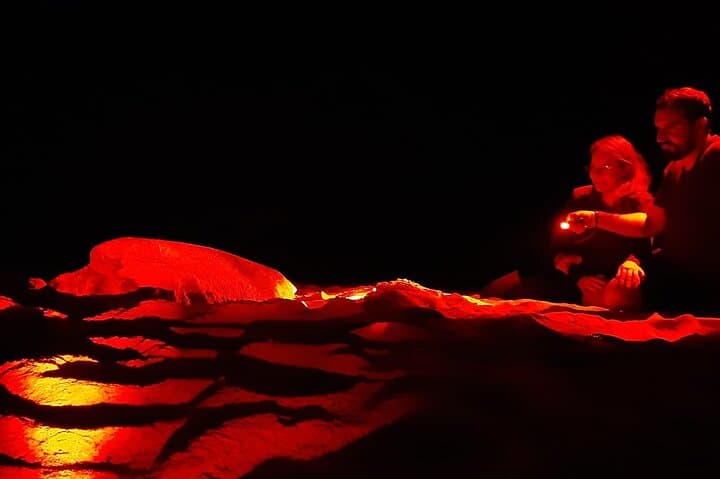Santa Maria Sea Turtle Watching Tour - Sal Island Night Nesting Experience
