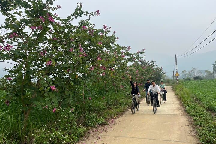 Hanoi Farm-to-Table Day: Duong Lam Cycling, Cooking Class & Ba Vi Views photo 6