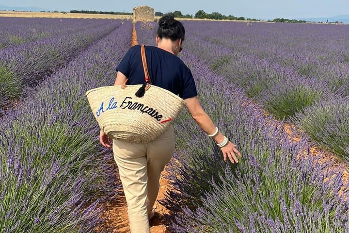 Lavender in Sault: Half-Day Small-Group Tour from Avignon