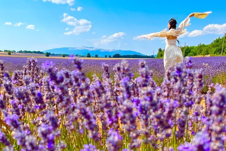 Lavender Fields and Hilltop Villages of the Luberon: Day Tour from Avignon