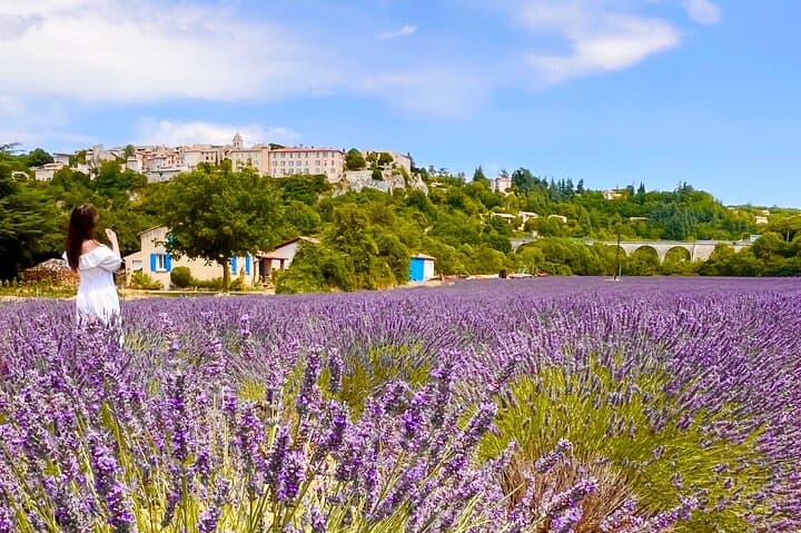 Lavender Fields and Hilltop Villages of the Luberon: Day Tour from Avignon photo 2
