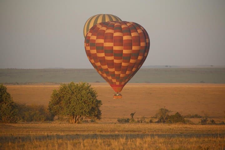 Fly-In Maasai Mara 4-Day Private Safari from Nairobi: Game Drives & Tent Camp photo 4