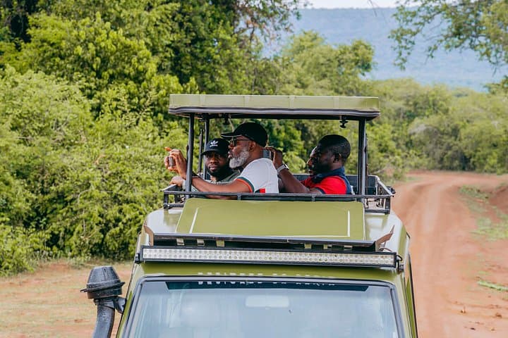5-Day Akagera, Volcanoes and Nyungwe Wildlife Safari — Gorilla, Chimp & Big Five Tour photo 4