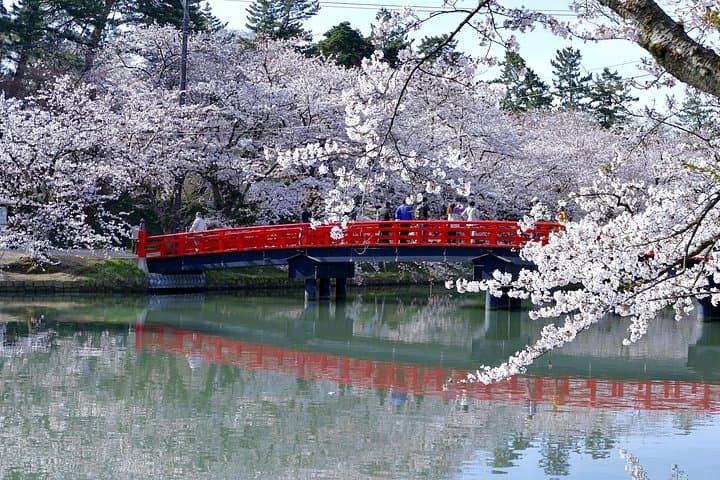 Hirosaki Castle, Fujita Garden & Apple Hill — Private Aomori Shore Excursion photo 4