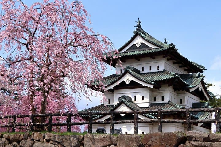 Hirosaki Castle, Fujita Garden & Apple Hill — Private Aomori Shore Excursion