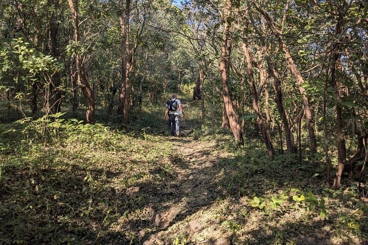Patho Village Trek: Offbeat Rishikesh Himalayan Walk with Ganges Views photo 6
