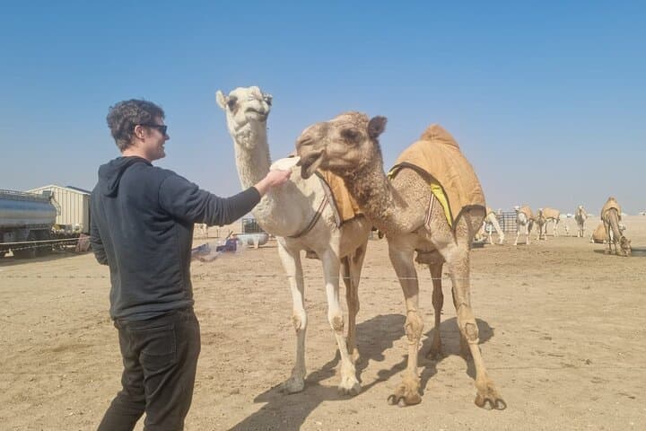 Half-Day Kuwait City & Desert Tour — Mosques, Souqs, Camels & Coastal Dunes