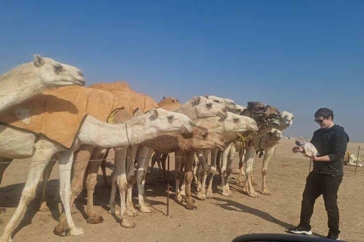 Half-Day Kuwait City & Desert Tour — Mosques, Souqs, Camels & Coastal Dunes photo 2