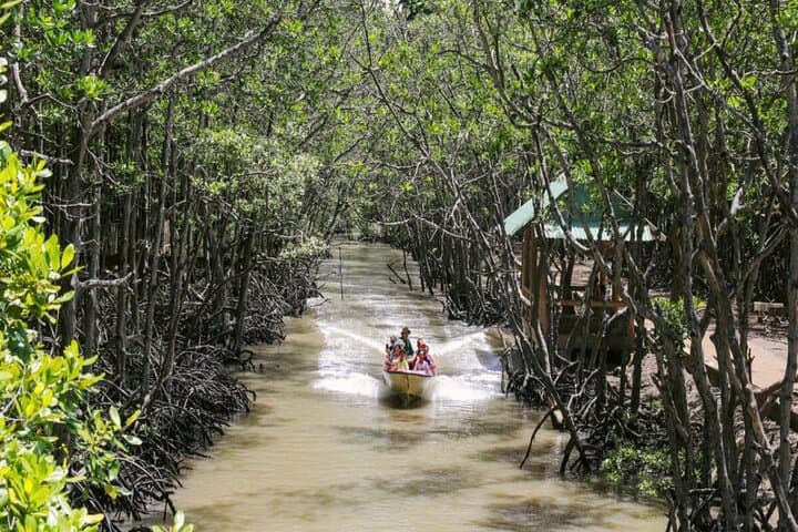 Can Gio Mangrove Biosphere Reserve Canoe and Wildlife Day Tour from Ho Chi Minh City photo 2