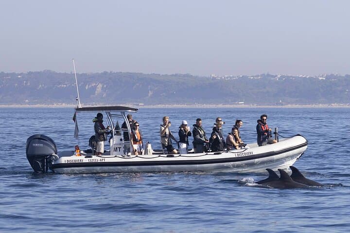 Lisbon Dolphin Watching with a Marine Biologist — RIB Ocean Safari photo 2