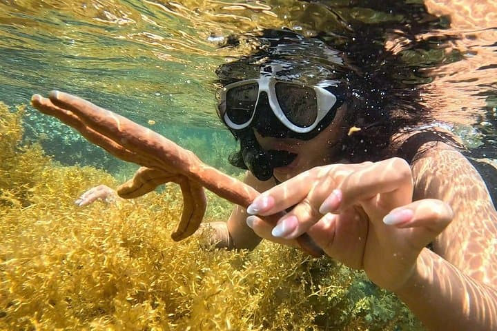 Nha Trang Bay Half-Day Snorkel & BBQ: Tiki-Boat Cruise to Three Islands photo 3