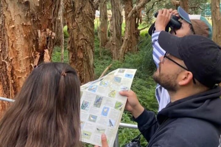 Sydney Guided Wildlife Walk: Urban Birding with a Biologist
