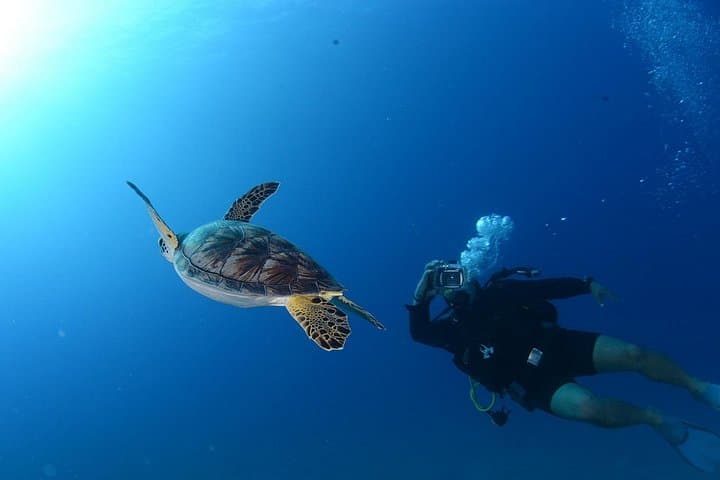 Marmaris Scuba Diving: Beginner and Certified Diver Boat Trips on the Turkish Riviera photo 6