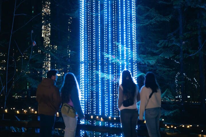 Capilano Suspension Bridge Canyon Lights: Winter Walk Through Vancouver’s Illuminated Rainforest photo 2