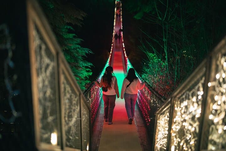 Capilano Suspension Bridge Canyon Lights: Winter Walk Through Vancouver’s Illuminated Rainforest photo 5