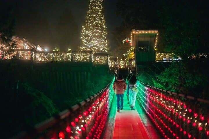 Capilano Suspension Bridge Canyon Lights: Winter Walk Through Vancouver’s Illuminated Rainforest photo 3