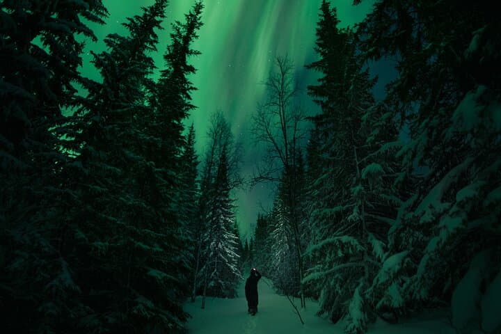 Private Aurora Hunt from Levi: Arctic Northern Lights Safari for Small Groups