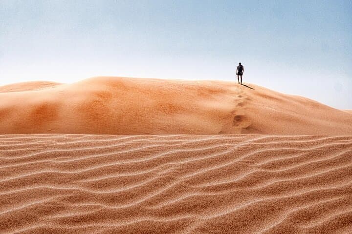 Doha Desert Safari: Dune-Bashing, Camel Ride & Inland Sea Views photo 6