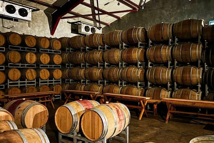 Sula Vineyards Day Trip from Mumbai: Vande Bharat or Car Wine Tasting in Nashik photo 2