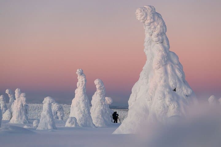 Riisitunturi Snow Monsters Winter Hike from Rovaniemi — Full-Day Guided Arctic Trek with Open-Fire Lunch