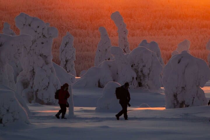 Riisitunturi Snow Monsters Winter Hike from Rovaniemi — Full-Day Guided Arctic Trek with Open-Fire Lunch photo 2