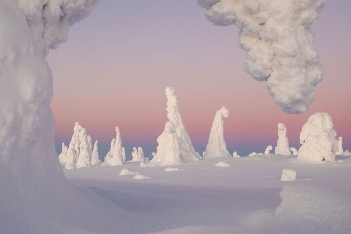Riisitunturi Snow Monsters Winter Hike from Rovaniemi — Full-Day Guided Arctic Trek with Open-Fire Lunch photo 3