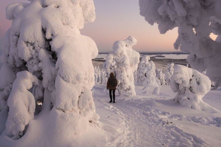 Riisitunturi Snow Monsters Winter Hike from Rovaniemi — Full-Day Guided Arctic Trek with Open-Fire Lunch photo 4