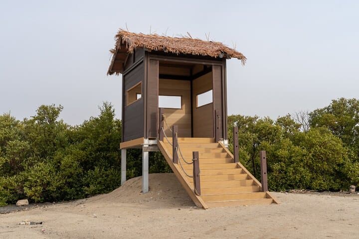 Private North Qatar Tour: Al Zubarah Fort & Northern Coast Highlights photo 3