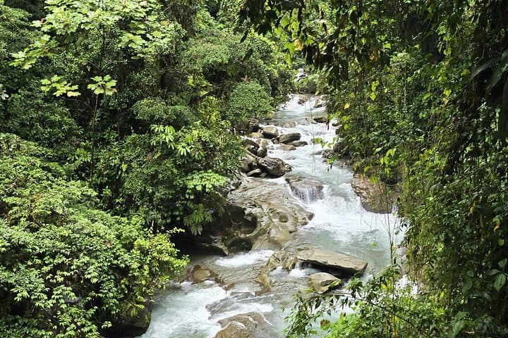 Danube and Mermaid Oasis Day Trip from Cali — Farallones Hike & Natural Pools photo 3