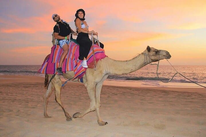 Cabo Camel Encounter: Beach Safari Ride with Lunch & Alcohol Tasting photo 2