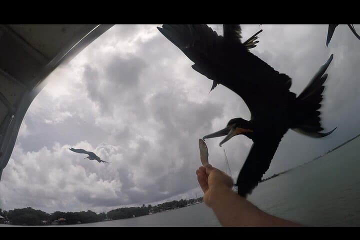 Belize Snorkel, Fishing & Beach BBQ Boat Tour — All-Inclusive Cayes Excursion photo 4