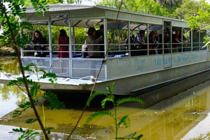 Private Louisiana Swamp Pontoon Tour with Door-to-Dock Pickup photo 1