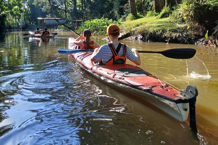 Paraná River Delta Kayak Tour from Tigre — Guided 2-Hour Paddle photo 4