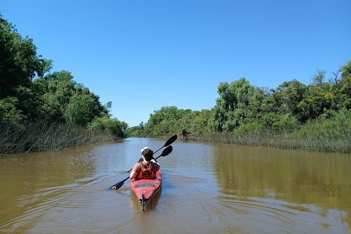 Paraná River Delta Kayak Tour from Tigre — Guided 2-Hour Paddle photo 5