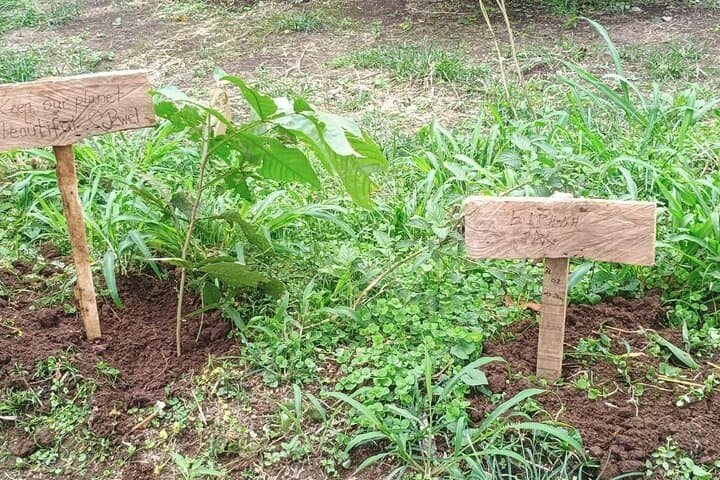 Reforestation Hike & Tree Planting in La Fortuna: Hands-On Conservation Experience photo 5