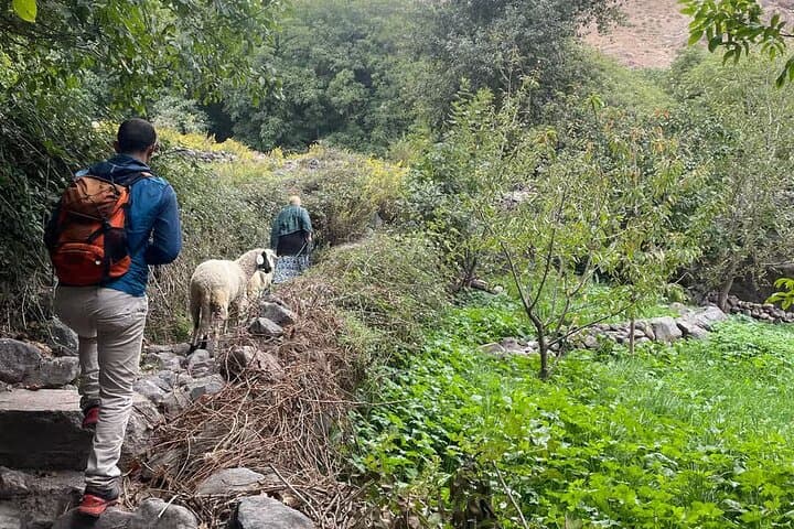 Berber Mountain Hike and Traditional Lunch from Marrakech: Imlil & Ouirgane Day Trip photo 6