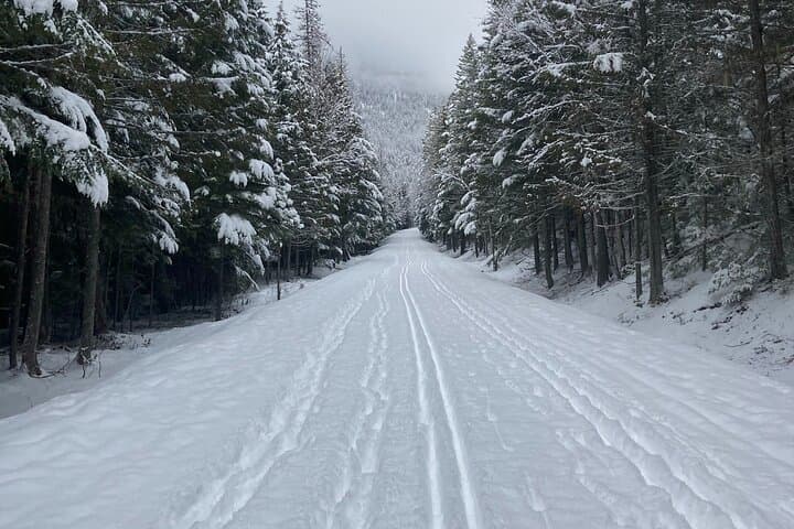 Learn Cross-Country Skiing in Glacier National Park: Private Guided Day photo 3