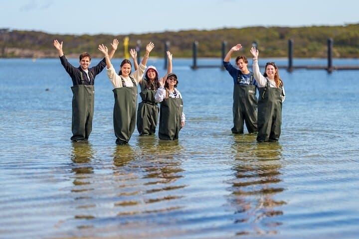 Coffin Bay Oyster Farm Wading Tour: Farm-to-Table Tasting in the Water