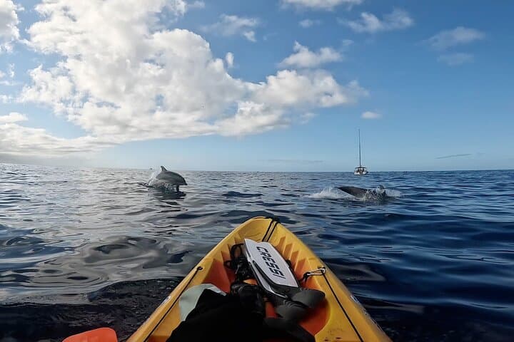 Paddle and Dive: Kayaking and Snorkeling Adventure in Tenerife photo 4